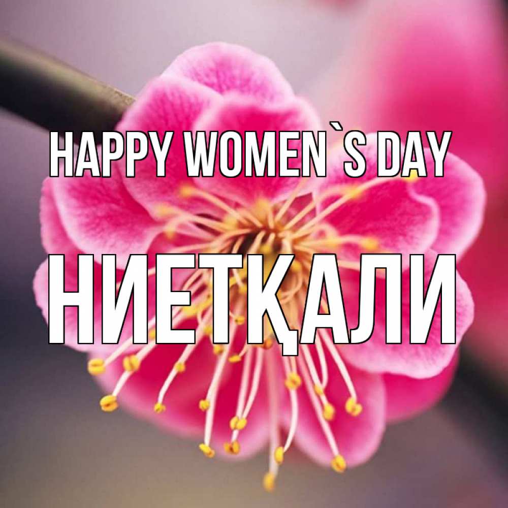 Greetings card с именем, НИЕТҚАЛИ happy women`s day цветы Greetings with text for free download 